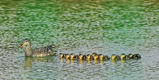 《小小世界》将于2月15日结束抢先体验推出1.0版，登陆PC及主机平台！